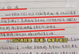 31岁女护士提分手遭男友杀害，生前日记公开