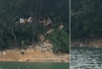 魔幻了：广东惊现抓大量野猫 水库“放生”…