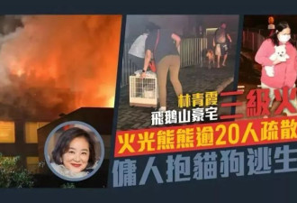 林青霞的生活有多奢侈?500万的私厨,房子失火不救钱先救狗
