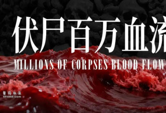 伏尸百万 这个国家已经进入大屠杀模式
