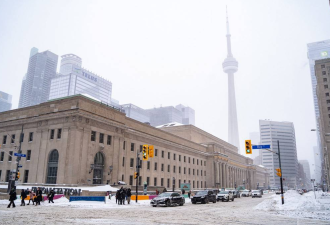 3cm初雪! 体感-5℃! 多伦多下周迎来入冬前第一场雪!