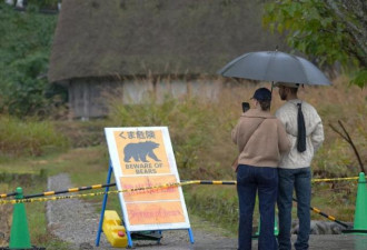 不敢去日本的游客，被现实版“熊出没”吓坏了