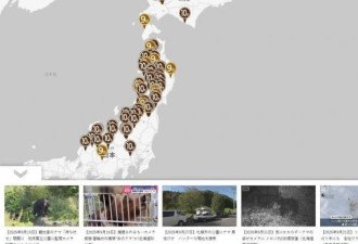 不敢去日本的游客，被现实版“熊出没”吓坏了