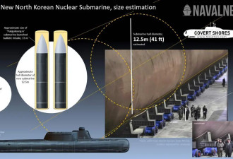 “362工程”下马20年 韩国这次能圆核潜艇梦吗？