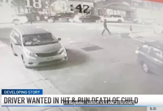 撞死3岁华裔幼童的无照司机重罪全免，家属痛哭…