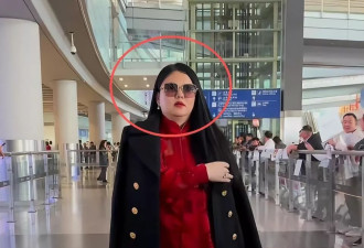 网红模仿李湘冲上热搜，网友调侃这是李湘她姐李逵