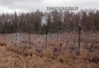 白俄罗斯反制波兰和立陶宛关闭与白边境