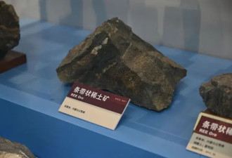 中美元首会晤协议细节陆续出炉 是否"休战"在望？