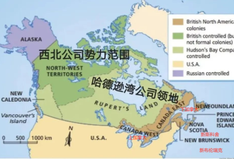 温哥华放弃入美国 选择加拿大 后悔了吗?