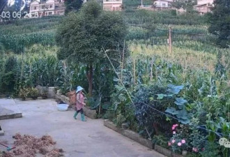 又一个恶魔！霸榜热搜