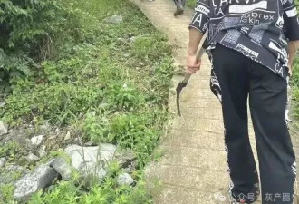 又一个恶魔！霸榜热搜