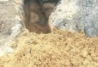 又一个恶魔！霸榜热搜