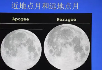年度最大“超级月亮”来了！今晚记得抬头看