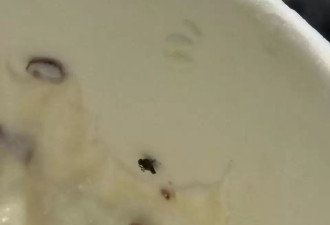大温餐饮卫生大翻车 奶茶有飞虫、饭团藏螺丝...