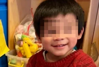 美国3岁华裔男童被撞身亡，肇事司机4项重罪全免