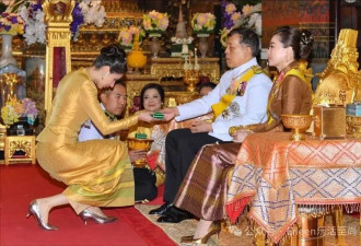 嫡女掌家遭背刺？与富四代百亿家族对战她又如何另立豪门？
