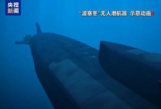 普京：“海燕”和“波塞冬”可保数十年战略平衡