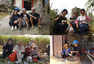 中国种地能挣多少钱?这五年我们问了一千多位农民