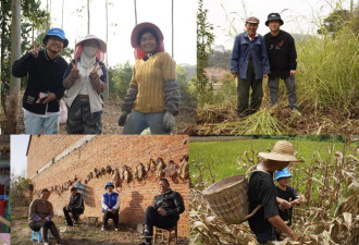 中国种地能挣多少钱?这五年我们问了一千多位农民