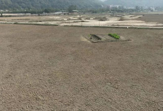 中国种地能挣多少钱?这五年我们问了一千多位农民