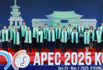 中国称台湾只能在一中前提下参加明年深圳APEC