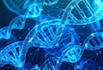 史上长最像夫妻！拍视频被狂劝验DNA 本人甜喊：越长越像