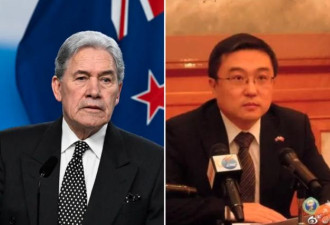 中国大使训斥议员“挺台” 反遭嘲讽：不懂…