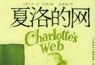美国女医生的一句话，让我发现了“奇迹”