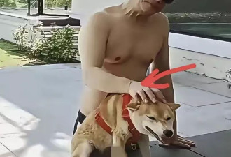 越描越黑! 李连杰脱衣辟谣 网质疑有"人造皮接缝"