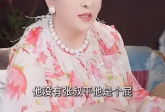 向太透露王家卫为人刻薄 把《一代宗师》投资人气到犯心脏病
