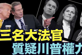 罕见！川普内阁官员出席最高法院辩论