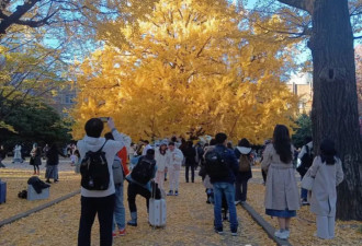 突然间，日本的大学里挤满中国学霸