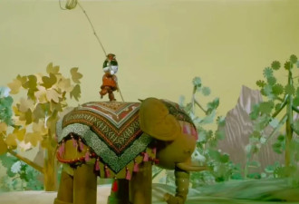 那些曾经大名鼎鼎的“神童”们，后来都去哪了？