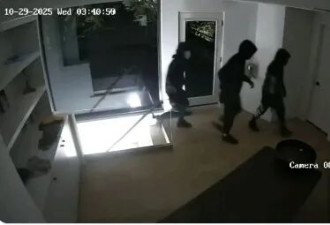 恐怖 加国入室抢劫 母亲被枪顶头 女儿打911数分钟没人接