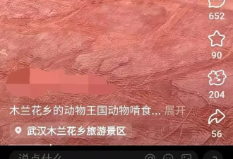景区里的狐狸饿得啃食水管？武汉一地文旅局回应