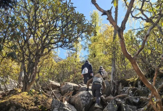 川西登山徒步乱象调查：山高路险，报警多是迷路