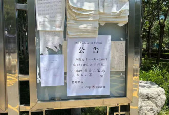 “保命”：一个杀妻嫌犯从无罪到再审
