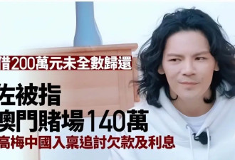 向太谈向佐被赌场追债，帮人家担保被说烂赌...