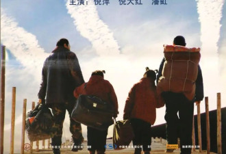 倪萍：9年艰辛救子,不将经济负担转嫁给再婚丈夫