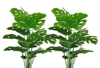 9.3折，塑料盆中 2 件套人造龟背竹美观植物