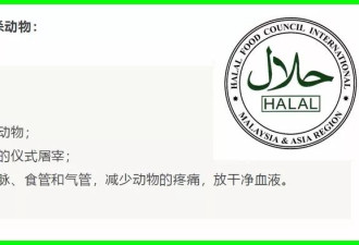 伊斯兰教法：其实大家早遵守了