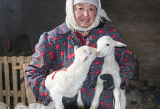 中国最好吃的羊肉 都在这张地图里