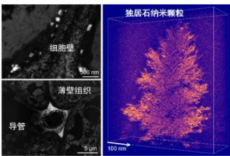 涉及稀土 中国科学家首次发现