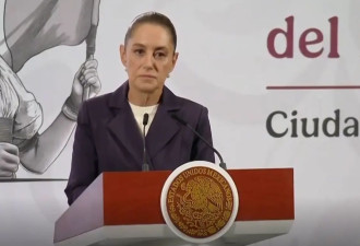 “连总统都无法避开性骚扰，那其他墨西哥女性...
