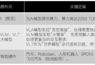 小鹏和特斯拉，谁是“物理AI”的未来？