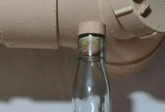 中国大佬竟持有侏罗纪恐龙化石？逃亡英国被查抄