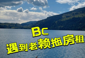 多伦多华人房东遭欠租10万：致省长福特先生的一封公开信