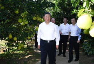 这支红色贵族太牛！习三亚行后，兴师动众去朝拜