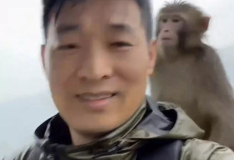 “猴子抢游客的伞 然后惊现神奇一幕”疯传 网疑AI生成