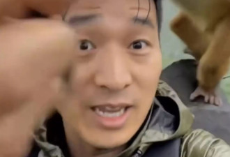 “猴子抢游客的伞 然后惊现神奇一幕”疯传 网疑AI生成